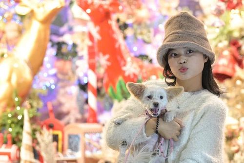 Phố Hàng Mã lung linh trước ngày Noel