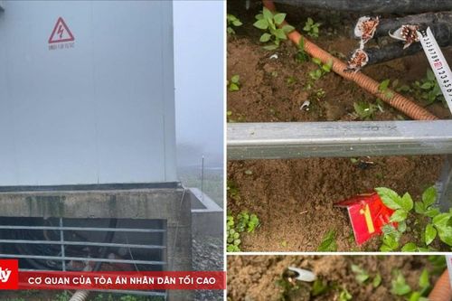 Hai thanh thiếu niên trộm cáp của nhà máy điện gió
