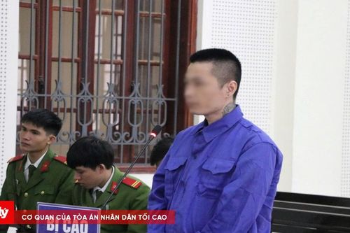 Con nghiện giấu ma túy trong chậu cây cảnh