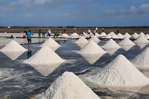 Festival nghề Muối Việt Nam lần đầu tiên sẽ diễn ra tại Bạc Liêu