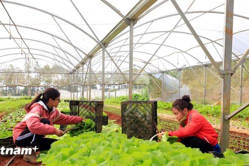 Kon Tum: Nỗ lực cải thiện chỉ số năng lực cạnh tranh cấp tỉnh