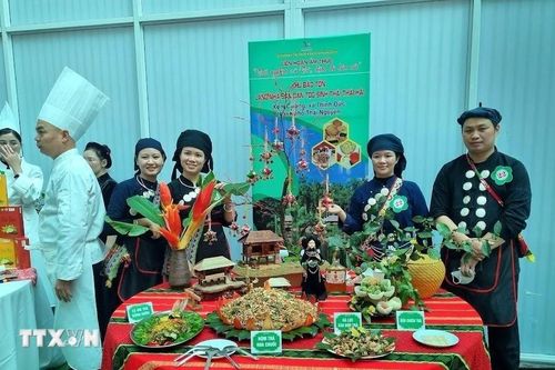 Lần tiên đầu tổ chức Liên hoan ẩm thực các món ăn chế biến từ cây chè