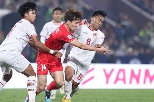 Phản ứng của CĐV Indonesia sau trận thua Việt Nam