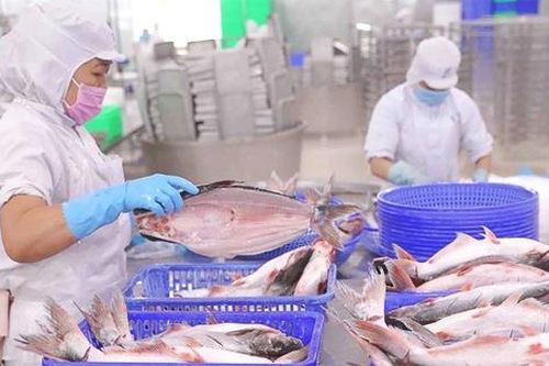Doanh thu nội địa giảm, Vĩnh Hoàn tăng trưởng mạnh nhờ thị trường Mỹ, EU, Trung Quốc