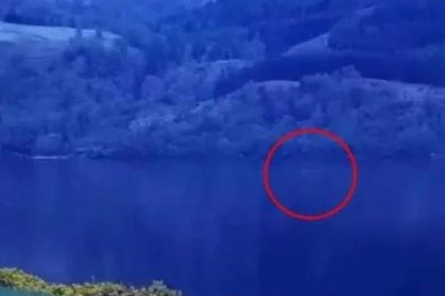Bằng chứng nghi quái vật hồ Loch Ness xuất hiện, dài gần 8m