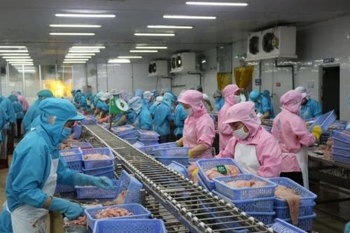 VASEP: Vướng thủ tục hoàn thuế, doanh nghiệp thủy sản áp lực về dòng tiền