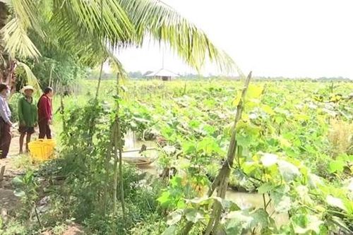 Người dân tộc thiểu số thuộc hộ nghèo ở Cần Thơ được hỗ trợ xây nhà bao nhiêu tiền?