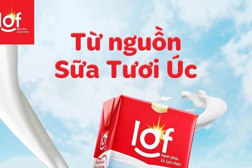Sữa Quốc tế Lof chia cổ tức đợt 1 năm 2024 với tỷ lệ 50%
