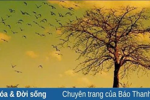 Vùng trời bình yên...