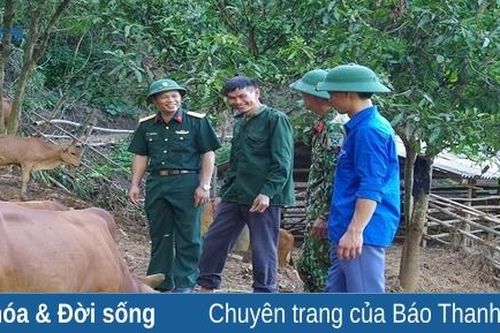 Gieo no ấm trên những bản làng vùng cao