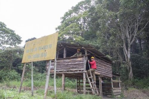 Lâm Đồng chuyển đổi mục đích sử dụng rừng để nâng cấp Quốc lộ 28B
