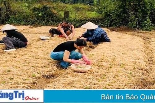 Nông dân phường An Đôn tất bật vụ hoa Tết
