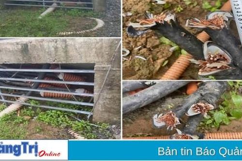 2 thanh thiếu niên ở Hướng Hóa trộm dây cáp tua bin điện gió