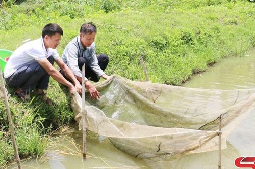 Cựu chiến binh Sông Mã - 'người có giúp người khó'