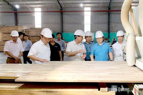 Nỗ lực vượt khó, tạo đà phát triển