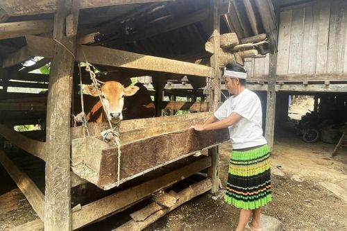 Đẩy mạnh công tác dân vận trong vùng đồng bào dân tộc thiểu số
