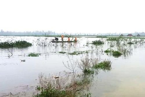 Lật ghe trên sông Đầm, 2 mẹ con tử vong thương tâm