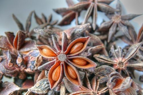 Hóa ra đây là lý do hoa hồi được coi là 'báu vật trời ban'
