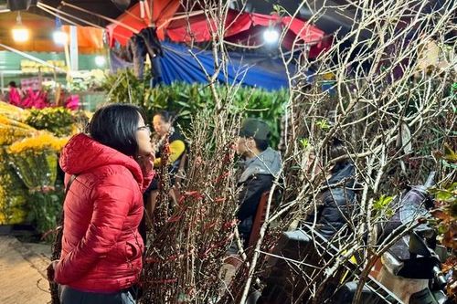 Thị trường Tết 2025: Hoa rừng đua nhau xuống phố phục vụ người dân chơi Tết sớm