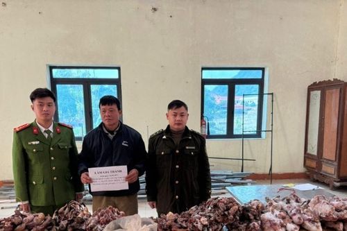 Lạng Sơn: Bắt giữ đối tượng thu mua, tàng trữ trái phép động vật hoang dã