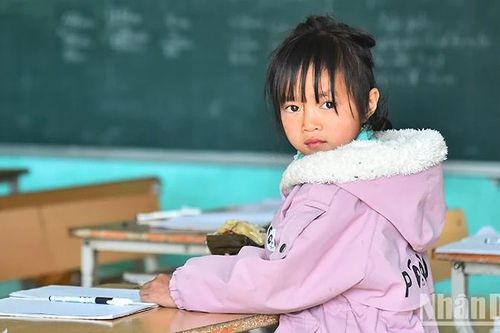 Nghiên cứu quy định rõ hơn về cơ chế, có biện pháp cụ thể việc bảo vệ trẻ em