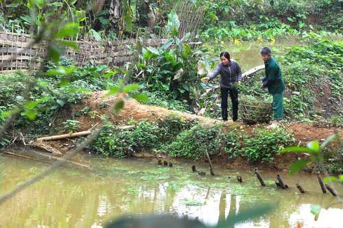 Lan tỏa phong trào thi đua 'Cựu chiến binh gương mẫu' trên cao nguyên đá Đồng Văn