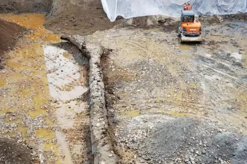 Đào trúng 'khúc gỗ lạ', công trường lập tức dừng thi công