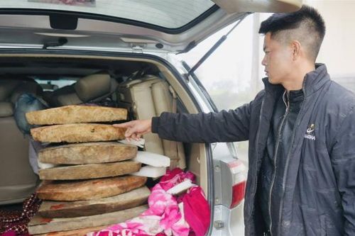 Lào Cai: Phát hiện một xe du lịch chở gỗ cấm khai thác lúc rạng sáng