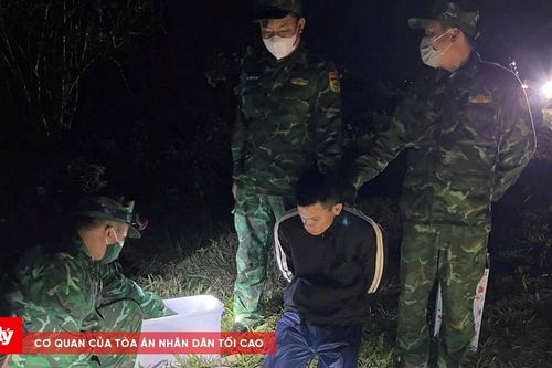 Triệt phá các vụ án ma túy, buôn lậu lớn ở Quảng Trị