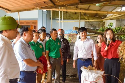 Nghệ An đẩy mạnh truyền thông, vận động nông dân xử lý rác thải
