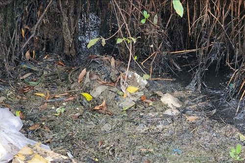 Lập đoàn kiểm tra khu vực bị ô nhiễm và chợ Tân Tiến sau phản ánh của TTXVN