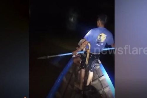 Nghe tiếng hét của cháu trai, bà chạy ra xem thì thấy cảnh đáng sợ