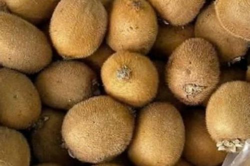 Loại trái cây 'nhà giàu' từng là hàng cao cấp nhập khẩu, nay có giá chỉ 20.000 đồng/kg