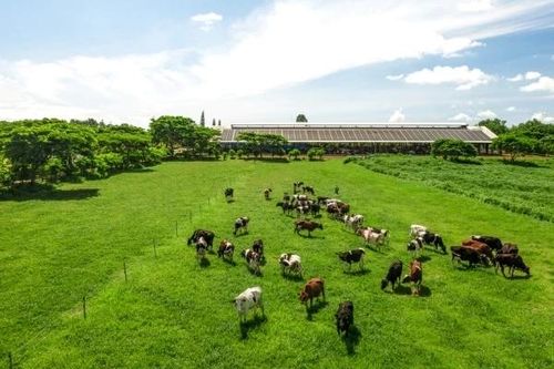 'Điểm danh' những doanh nghiệp đầu ngành có triển vọng tăng trưởng tích cực
