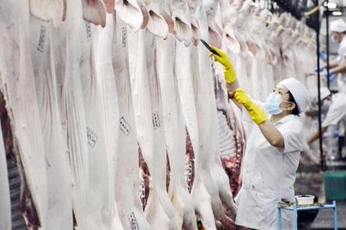 Áp dụng công nghệ cao trong quản lý truy xuất nguồn gốc thực phẩm