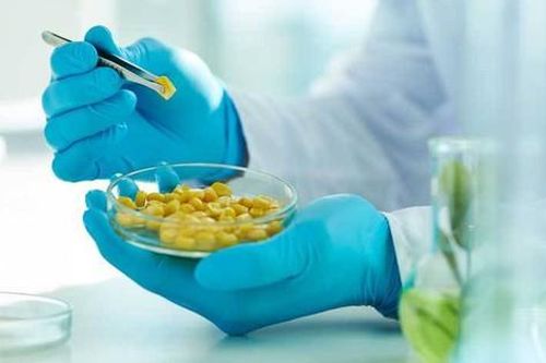Nhân sự và tài chính - 2 thách thức đối với các đơn vị kiểm nghiệm thực phẩm