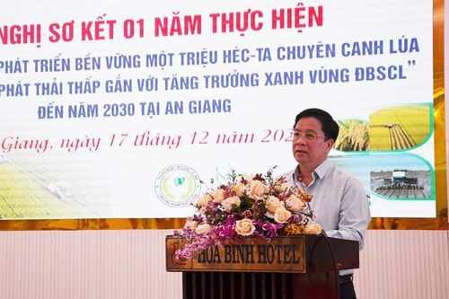 Sơ kết 1 năm Đề án phát triển bền vững 1 triệu héc-ta lúa chất lượng cao trên địa bàn tỉnh