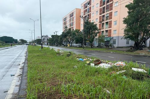 Sớm trồng cây xanh trên đường Chu Huy Mân và khu vực gầm cầu Thuận Phước