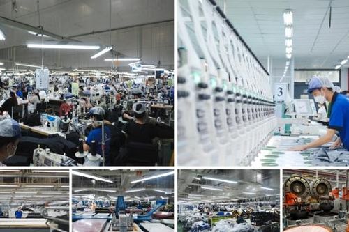 Chủ động nắm bắt nhu cầu nhân lực phục vụ Dự án Cảng hàng không quốc tế Long Thành