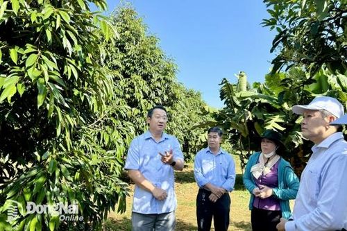 Đi đầu xây dựng các vùng sản xuất hữu cơ