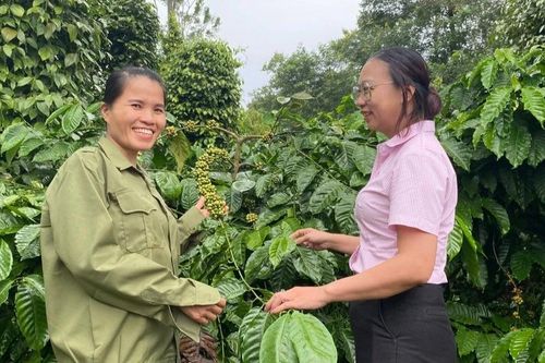 'Bà đỡ' của người dân vùng khó