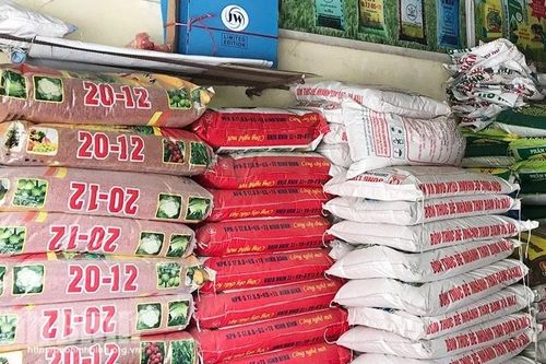 Giá phân bón xuất khẩu giảm 8%