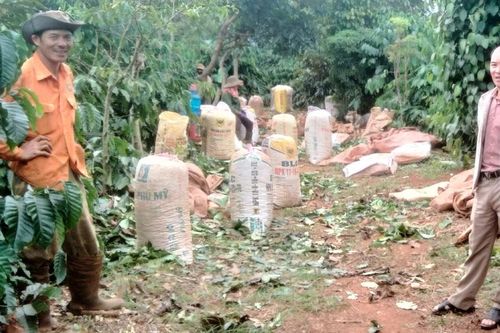 Câu lạc bộ 'Nông dân với pháp luật' phát huy hiệu quả