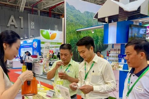 Bãi bỏ nghị quyết hỗ trợ kinh phí cho doanh nghiệp tham dự hội chợ triển lãm