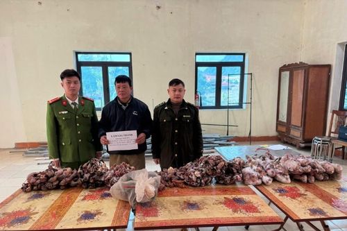 Văn Lãng: Bắt giữ đối tượng thu mua, tàng trữ trái phép động vật hoang dã