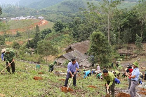 Chuyển 6,3 tỷ đồng cho các địa phương khắc phục hậu quả thiên tai