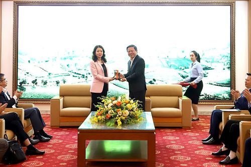 Đoàn các Trưởng cơ quan đại diện của Việt Nam tại nước ngoài đến thăm và làm việc với tỉnh