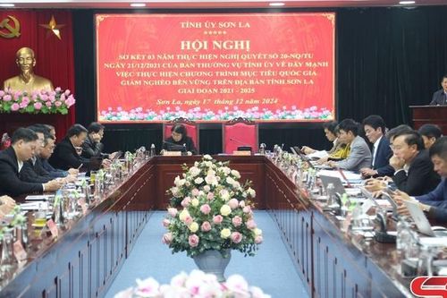Hội nghị sơ kết 3 năm thực hiện Nghị quyết số 20 của Ban Thường vụ Tỉnh ủy