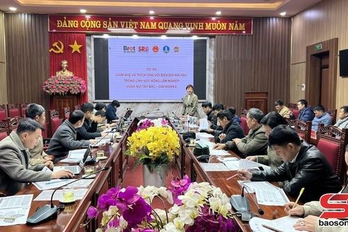Thuận Châu triển khai Dự án Giảm nhẹ và thích ứng với biến đổi khí hậu trong lĩnh vực nông nghiệp vùng núi Tây Bắc