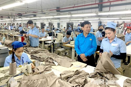 Bức tranh kinh tế 2024: Vượt bão ngoạn mục